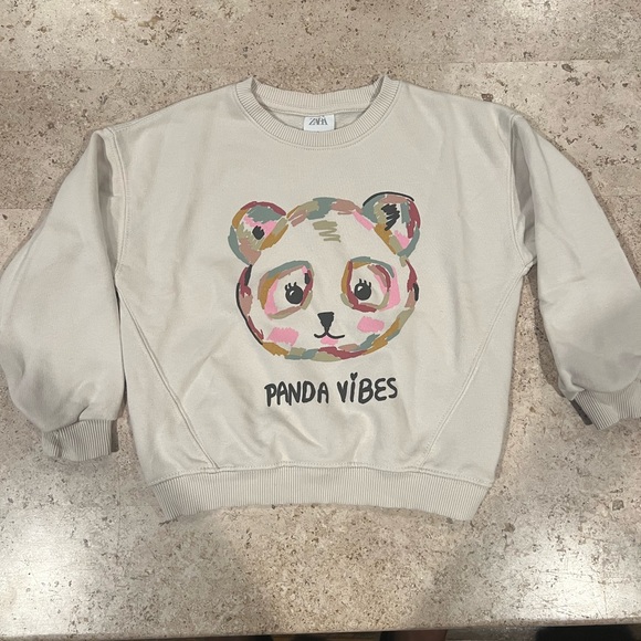 Zara Other - Girls 4-5 years Zara sweater